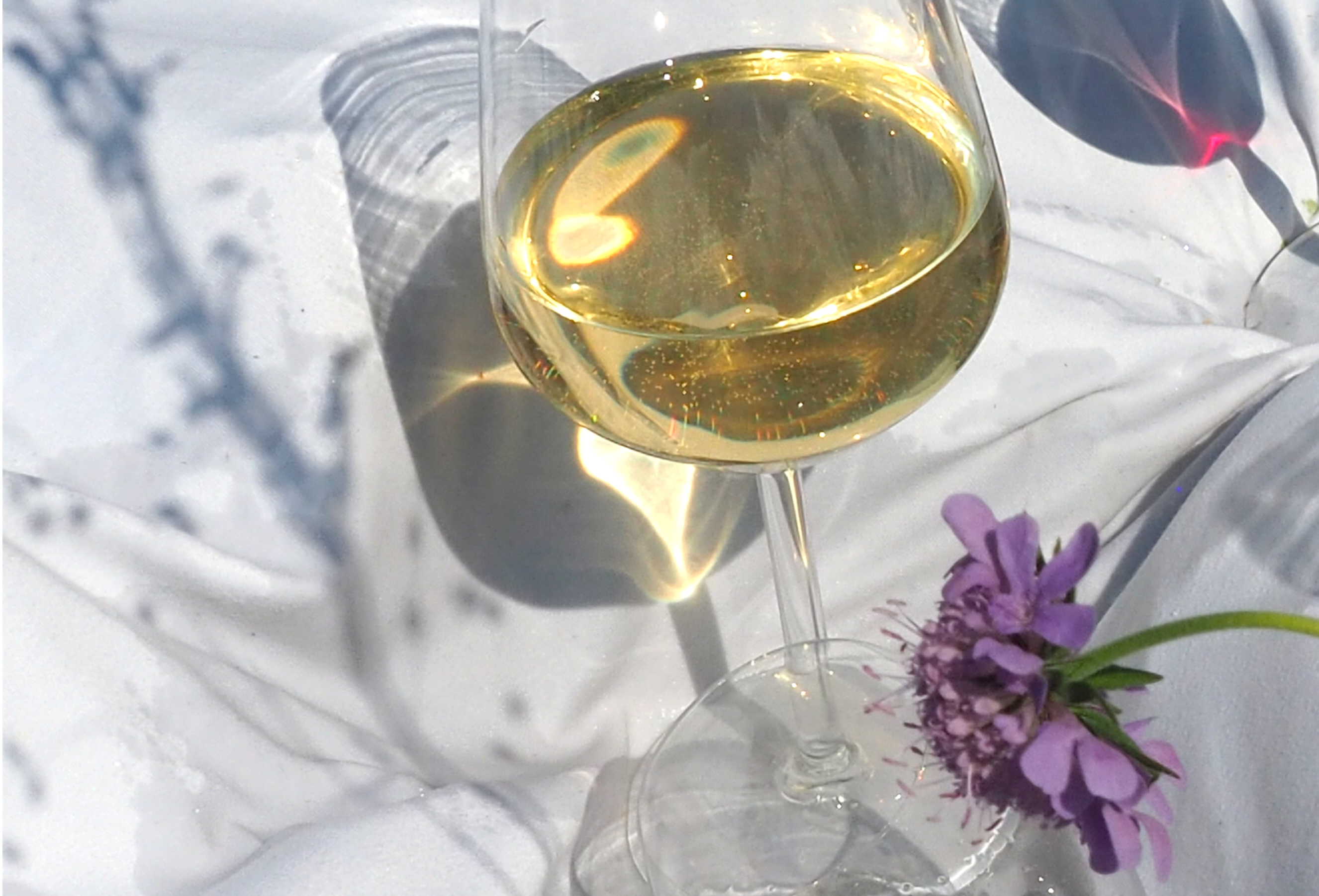 Vinho Verde