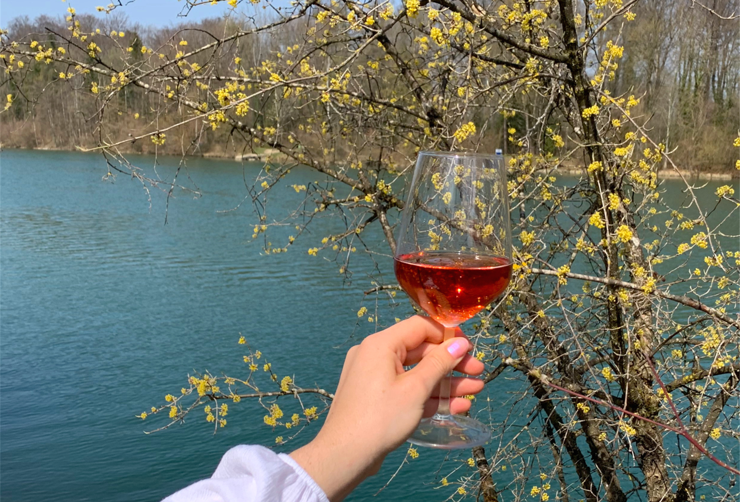 Rosé – Haltung statt Hype